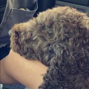 Meet your Posher, Mya